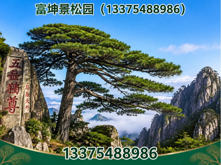 岱岳区富坤景松园展示图